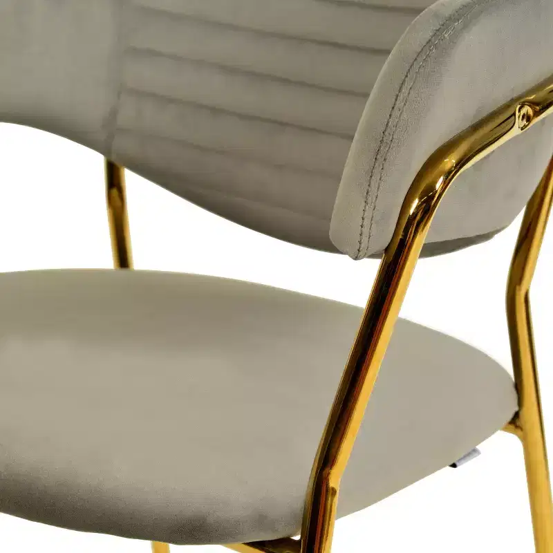 Upholstered Dining Chair Set of 2 Velvet Camelback Stainless Steel Legs 330 lbs