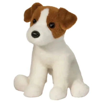 Fiona Jack Russell Terrier