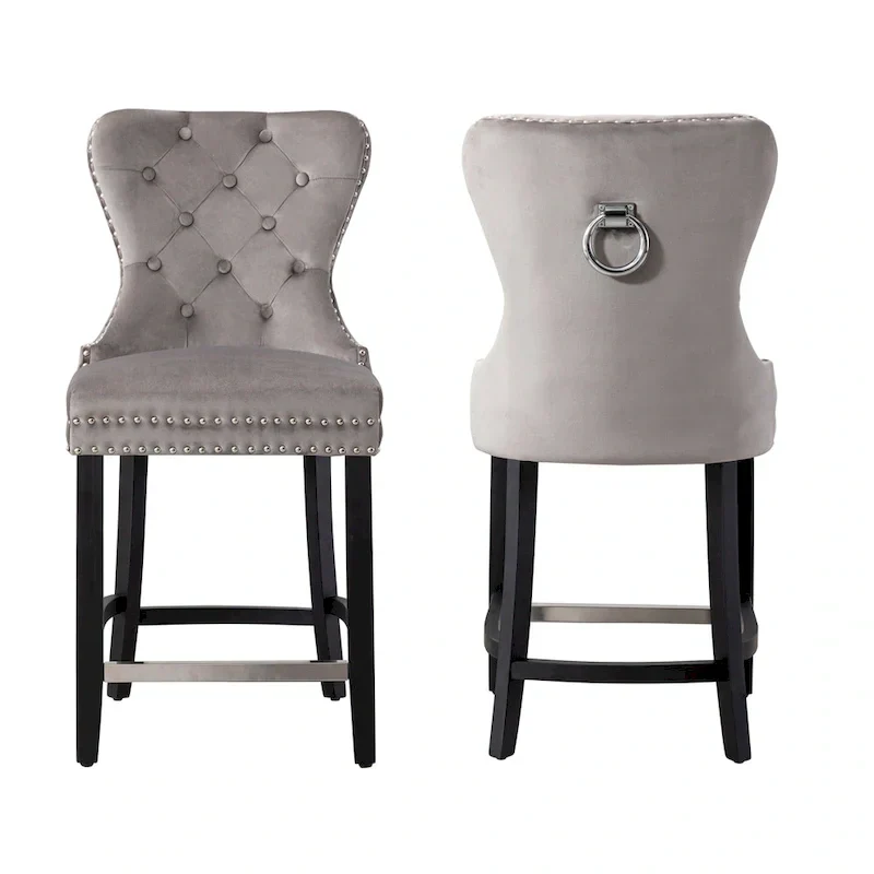 Carter 24 Wingback Tufted Nailhead Counter Stool (Set of 2)