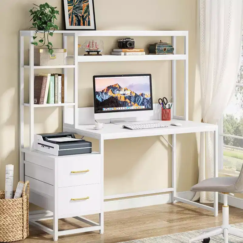 Lantine 55 Inch Computer Desk with 2 Drawers and Storage Shelves