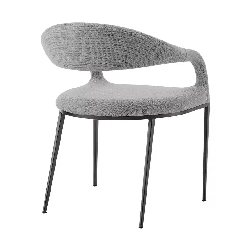 Set of 2 Upholstered Iron & Fabric Dining Chairs with Arms, 250LBS, Low Back