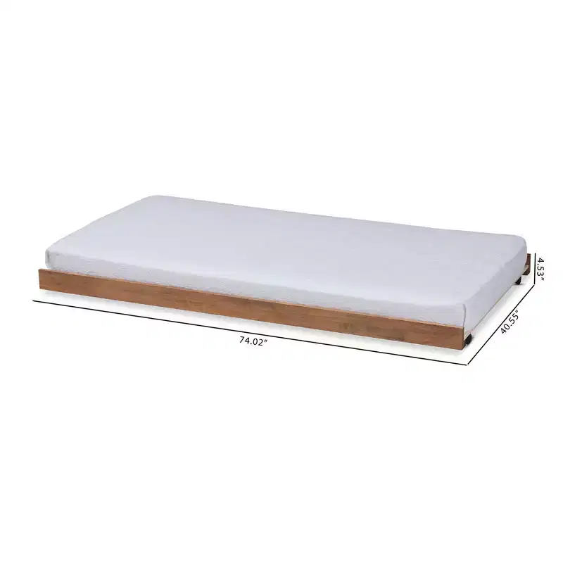 Twin Veles Trundle Bed Ash Walnut - Baxton Studio: Rubberwood Frame, No Box Spring Needed