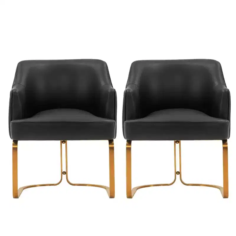 Manhattan Comfort Set of 2 Raya Modern Leatherette Upholstered Dining Armchairs