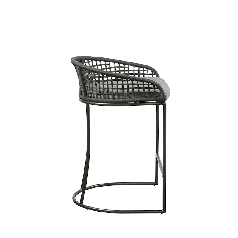 Madison Park Carmel Woven Counter Stool 25