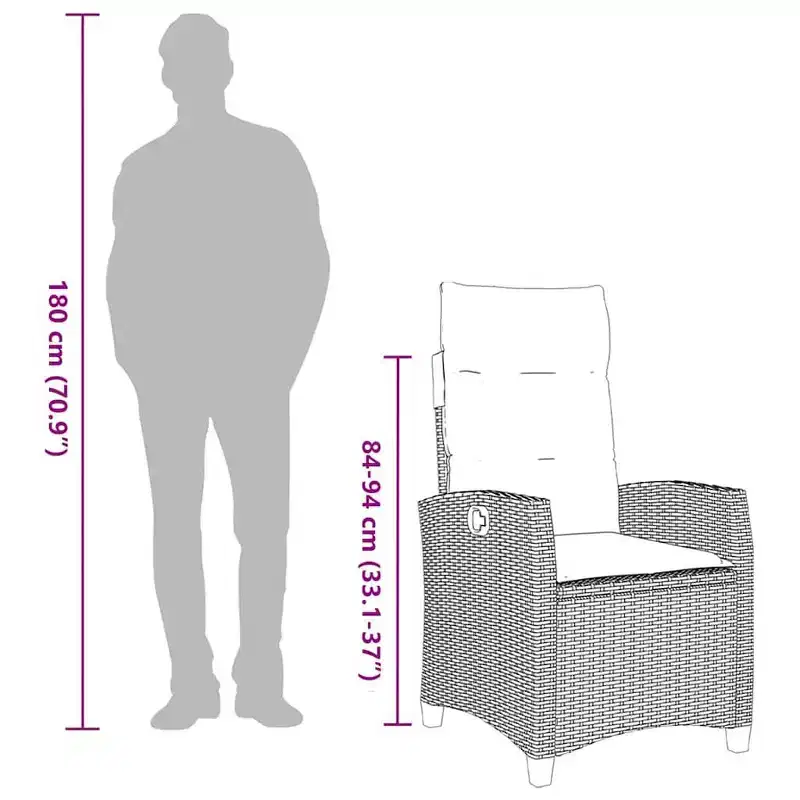 vidaXL Reclining Garden Chair PE rattan, powder-coated steel Medium