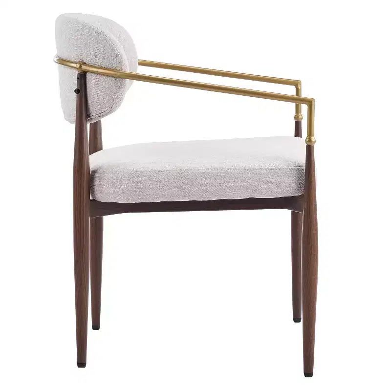 Christopher Knight Home Elodie Modern Upholstered Dining Chairs (Set of 2)