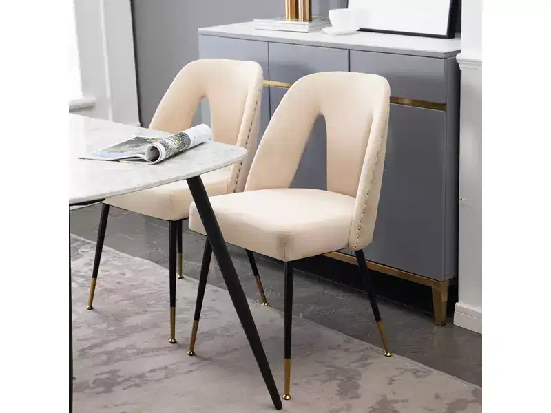 Set of 2 Modern Velvet Upholstered Dining Chair with Nailheads and Gold Tipped Black Metal Legs-ModernLuxe