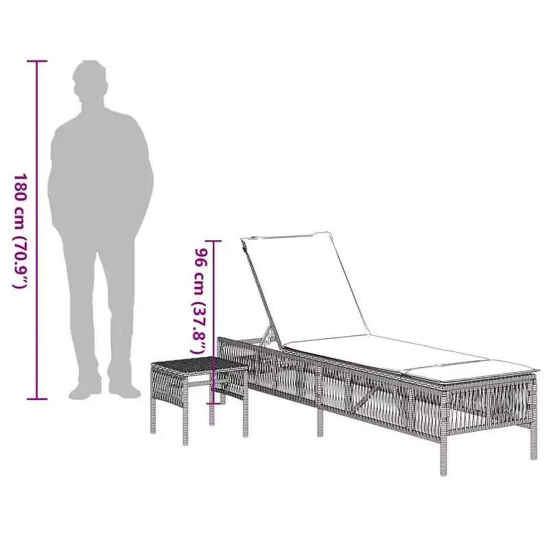 vidaXL Patio Sun Lounger PE rattan, Powder-coated steel Standard