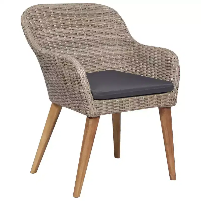 vidaXL Garden Chair 2 pcs 62.5 x 55 x 82 cm Poly Rattan