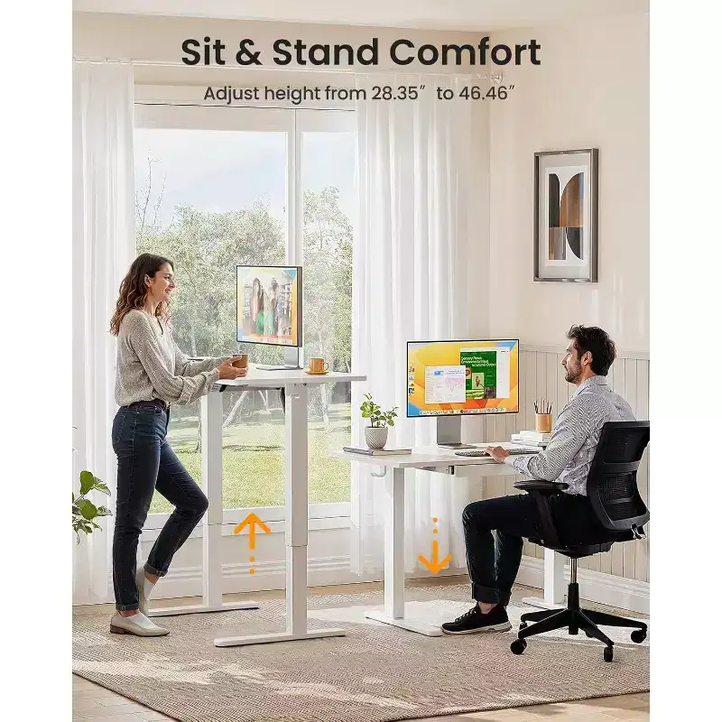 ErGear Electric Standing Desk with Drawers, 48X24 Height Adjustable Desk with 4 Preset, Home Office Computer Table, White