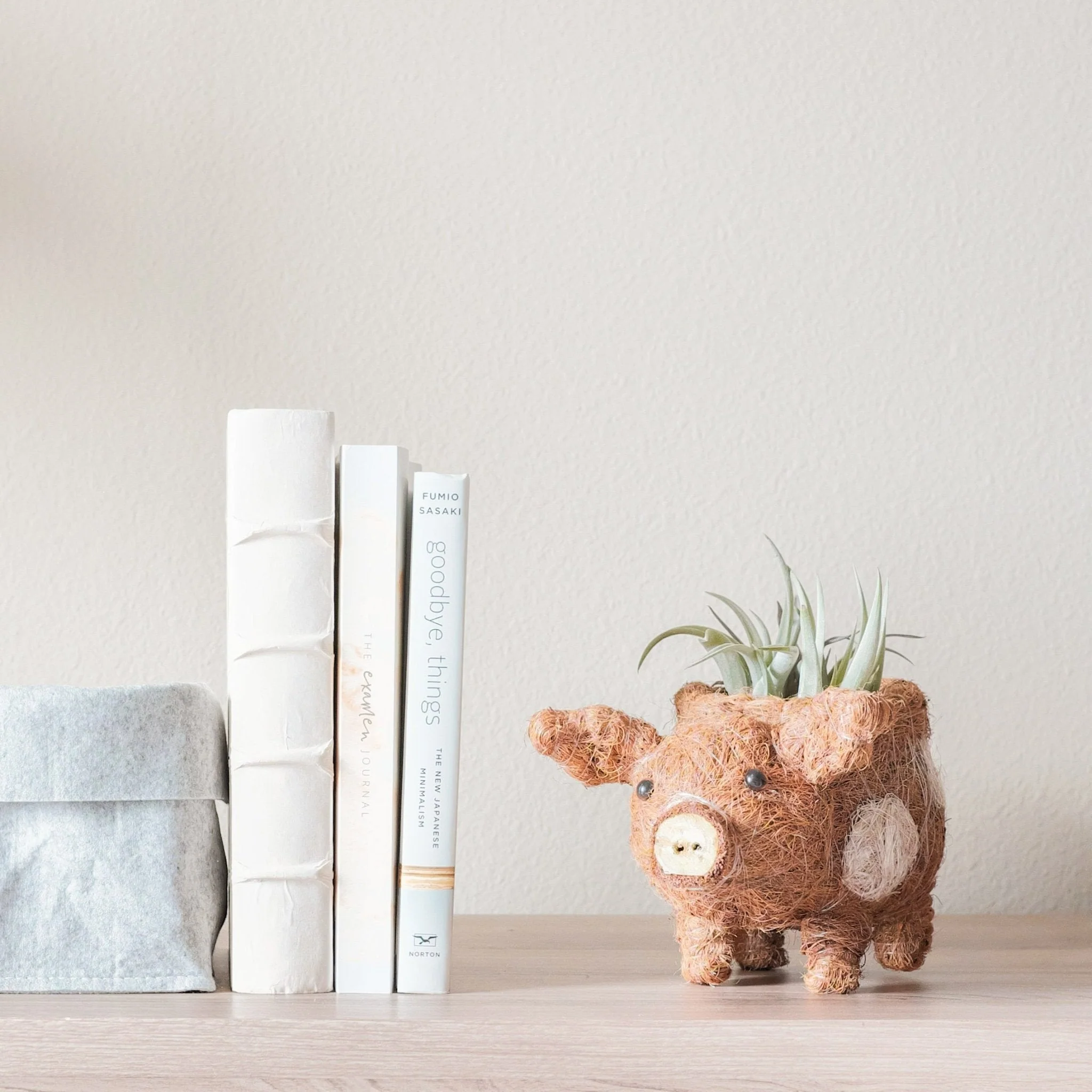 Baby Pig Succulent Pot - Handmade Planters