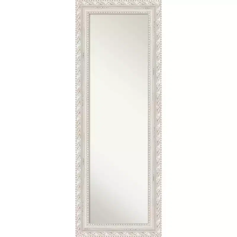 20"x54" Non-Beveled Opera Wood Door Mirror, Wall-Mountable - Amanti Art