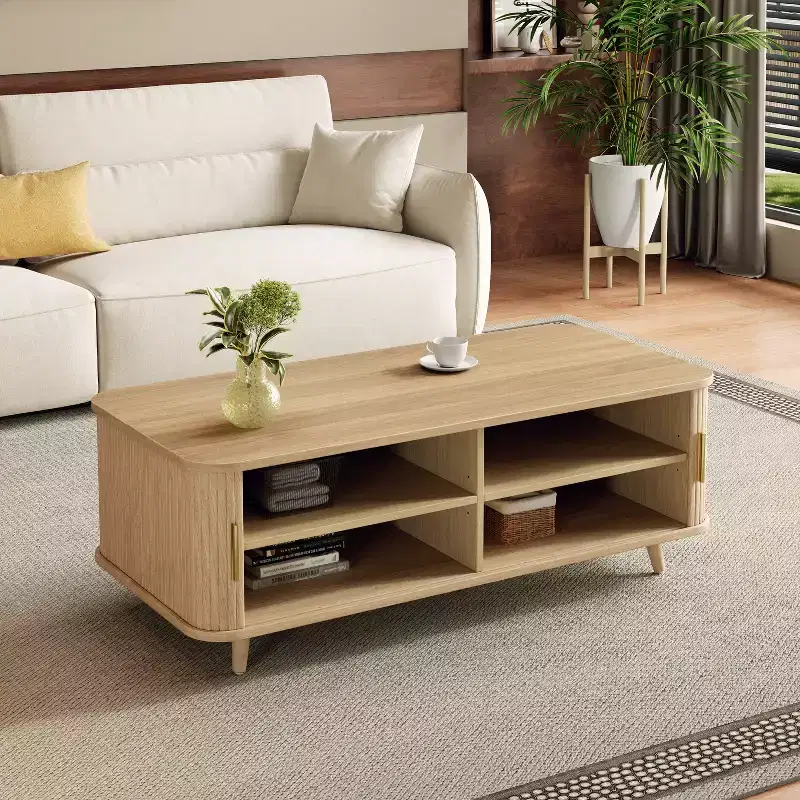 Christopher Knight Home Nova Sliding Door Storage Coffee Table with Adjustable Shelves