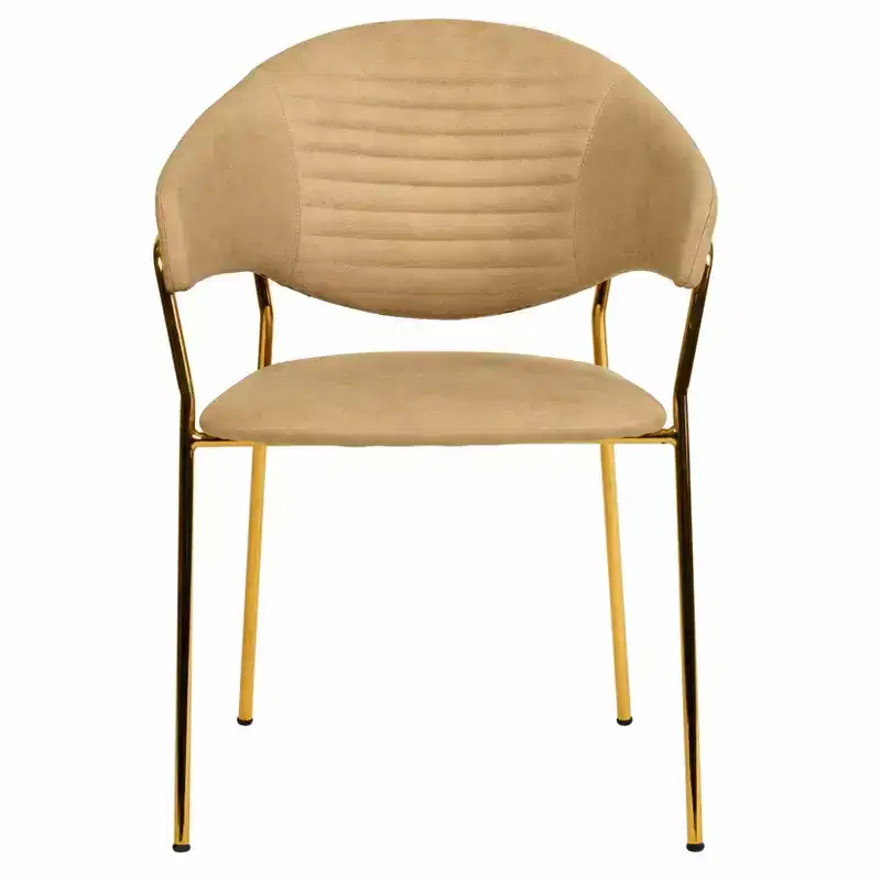 Upholstered Dining Chair Set of 2 Velvet Camelback Stainless Steel Legs 330 lbs