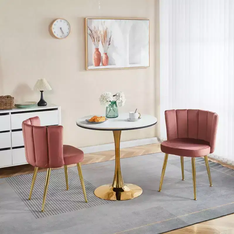 Modern Accent Chair, with Iron Tube Golden Color Legs, Velvet and Comfortable Backrest, Set of 2