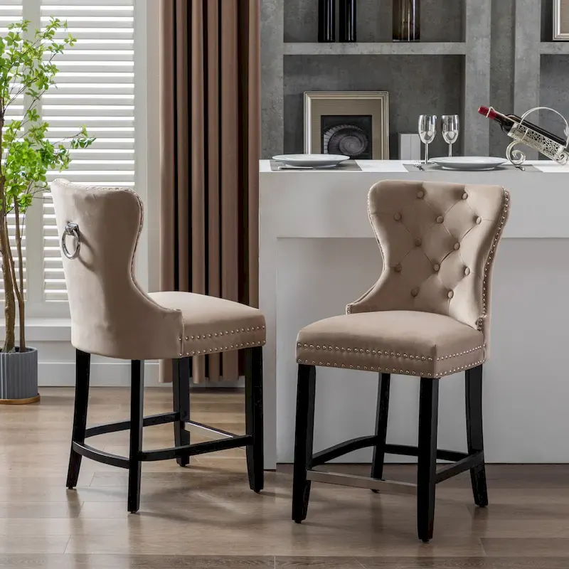 Carter 24 Wingback Tufted Nailhead Counter Stool (Set of 2)