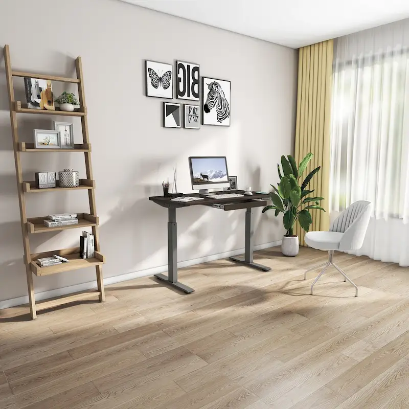 White / Graphite / Walnut / Black Electric Standing Desk, Single Person, 48