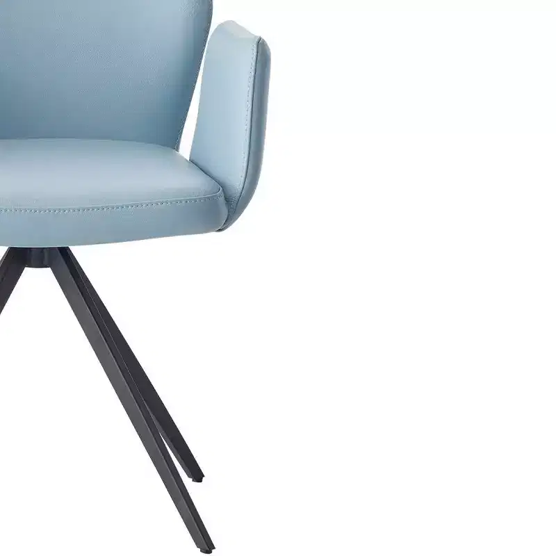 24 Segismunda Accent Chair Light Blue Leather/Black Finish - Acme Furniture
