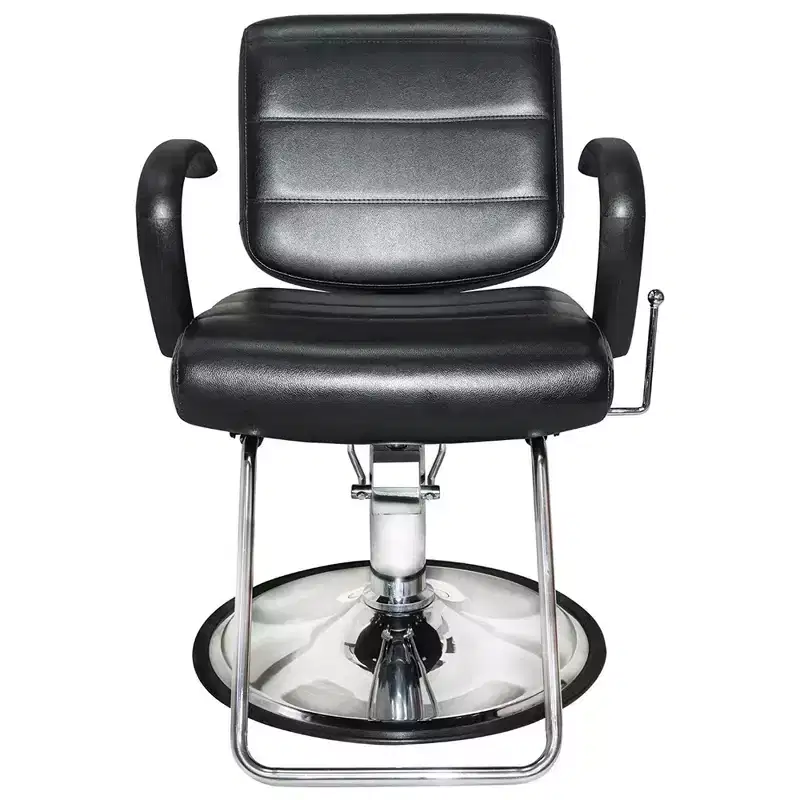 2 Pack Salon Chairs, 360 Degree Swivel Seat, Black