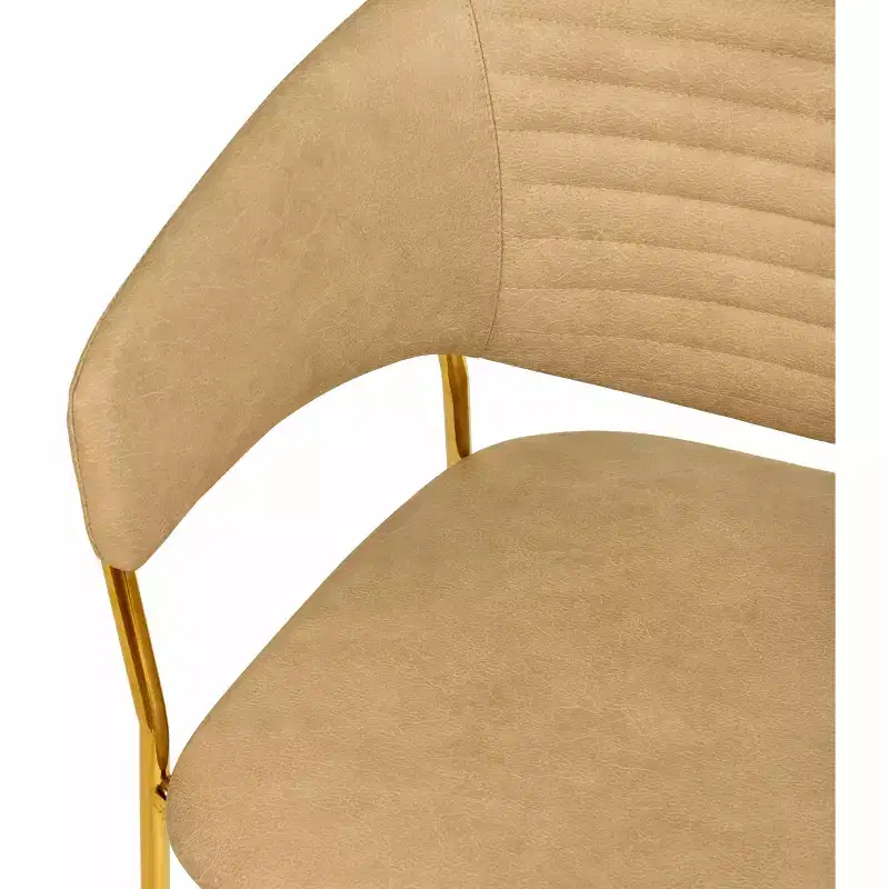 Upholstered Dining Chair Set of 2 Velvet Camelback Stainless Steel Legs 330 lbs