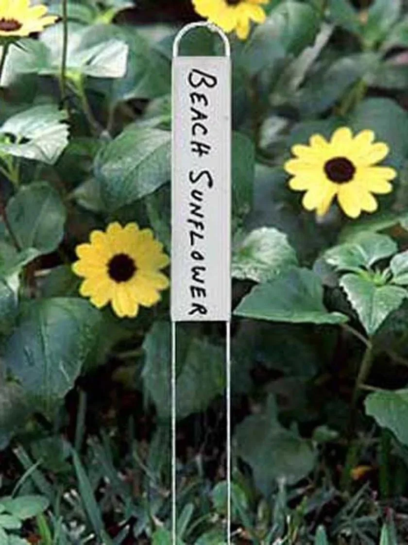 Vertical Plant Markers Set of 25 Slim Garden Labels with Nameplate