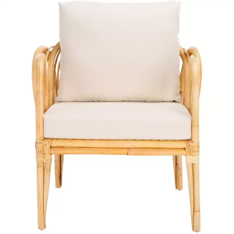 Coralie Accent Chair W/ Cushion - ACH6525 - Safavieh