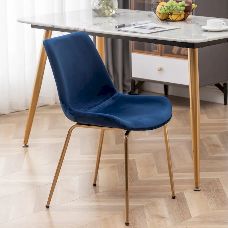 Roundhill Furniture Aufurr Modern Velvet Dining Chair (Set of 2)
