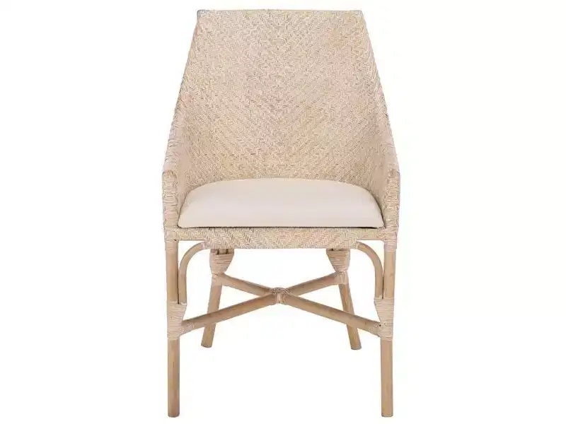 Rikan Arm Chair - ACH4907 - White Washed/Ivory - Safavieh