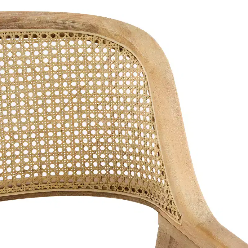 Christopher Knight Home Charlotte Mid-Century Modern Upholstered Dining Chairs with Natural Rattan Cane Back (Set of 2)