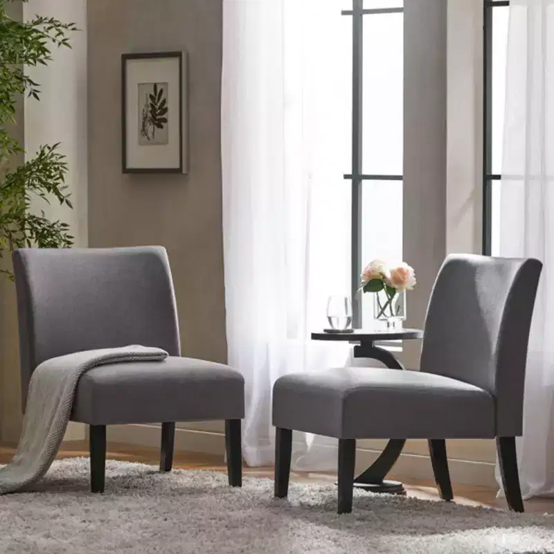 Set of 2 Kassi Accent Chair - Christopher Knight Home