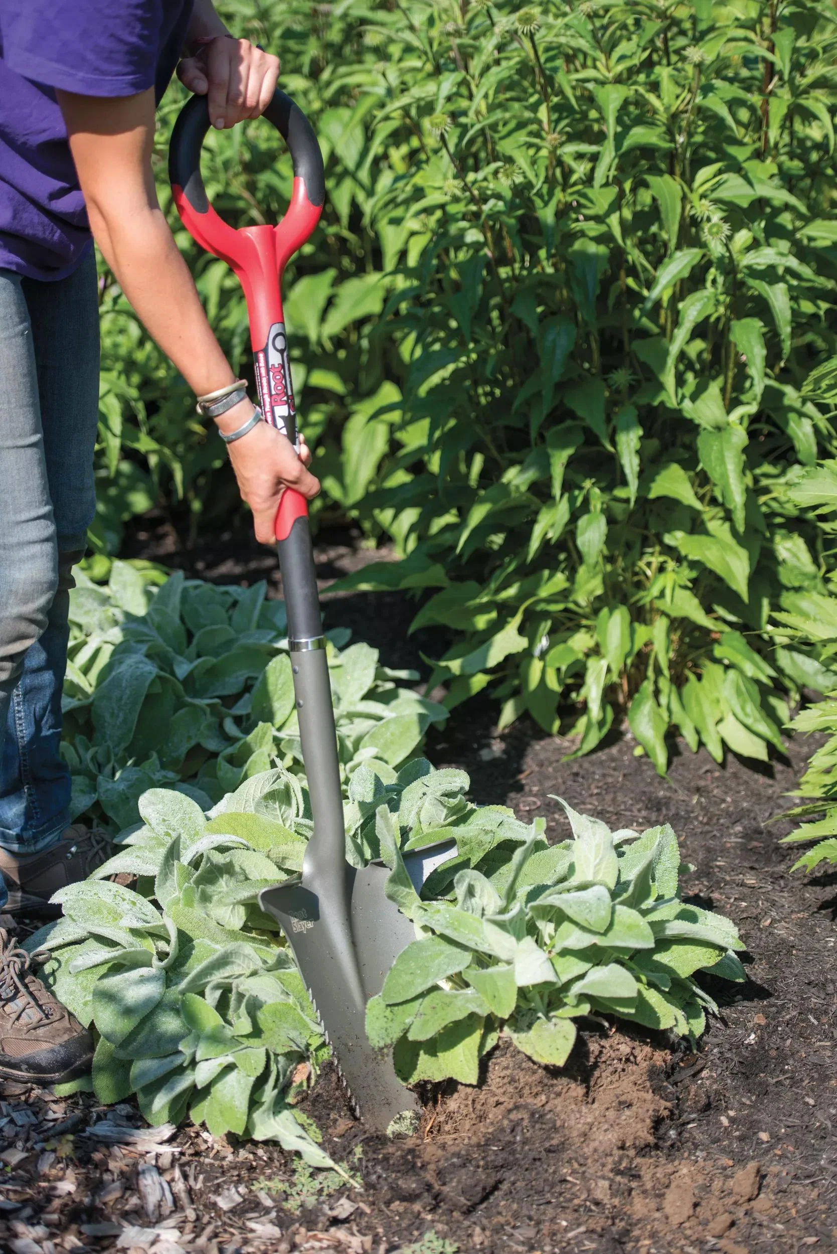 Heavy-Duty Multi-Purpose Root Cutting Digging Shovel for Garden Use