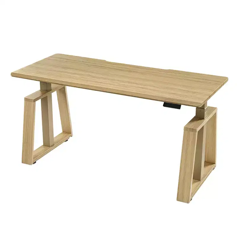 EUREKA ERGONOMIC Modern height adjustable Standing Desk(63x29)
