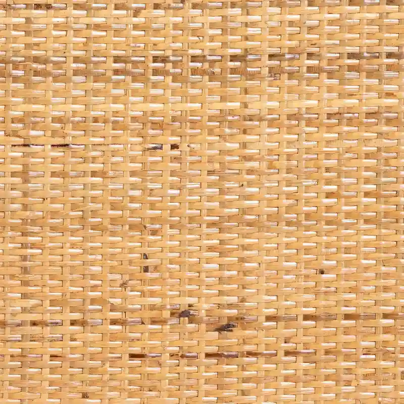 Curacao Modern Bohemian Light Honey Rattan 2-Drawer Bookcase