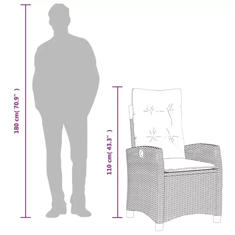vidaXL Reclining Garden Chair Grey PE Rattan Standard