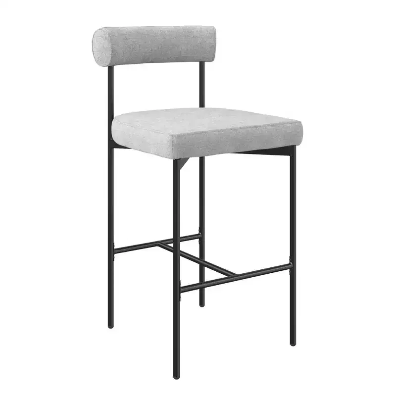 Nathan James Set of 2 Dahlia Counter Height Barstools