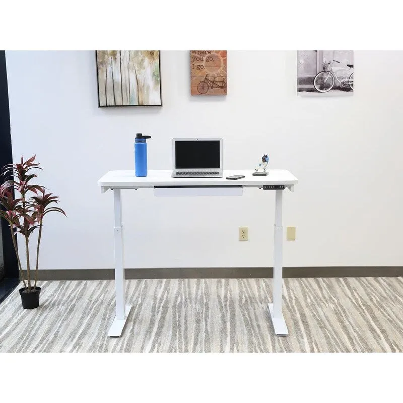 White / Graphite / Walnut / Black Electric Standing Desk, Single Person, 48