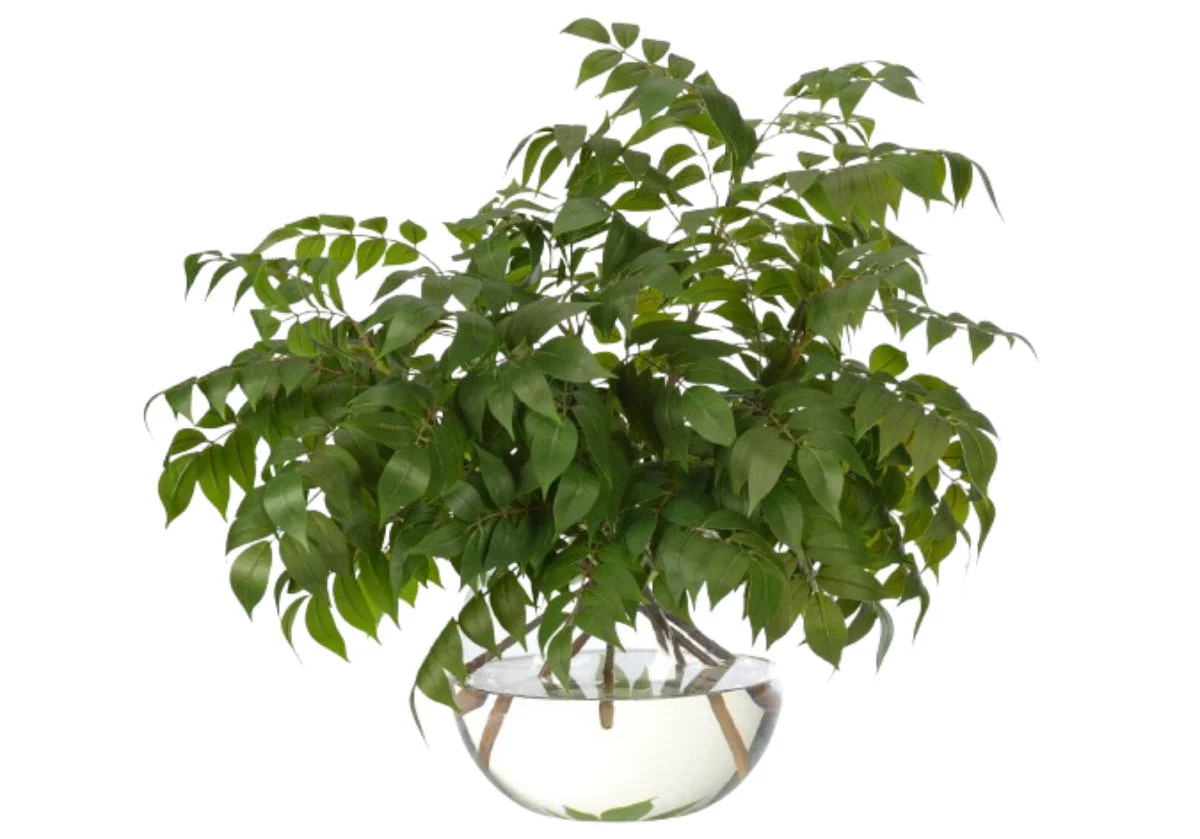 Natural Synthetic Wisteria Leaf Stem with Green Glass Bubble Vase for Living Room & Dining Room