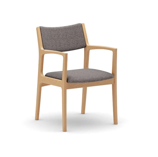 Dining Chair(Multiple colors are available for you to choose from.)