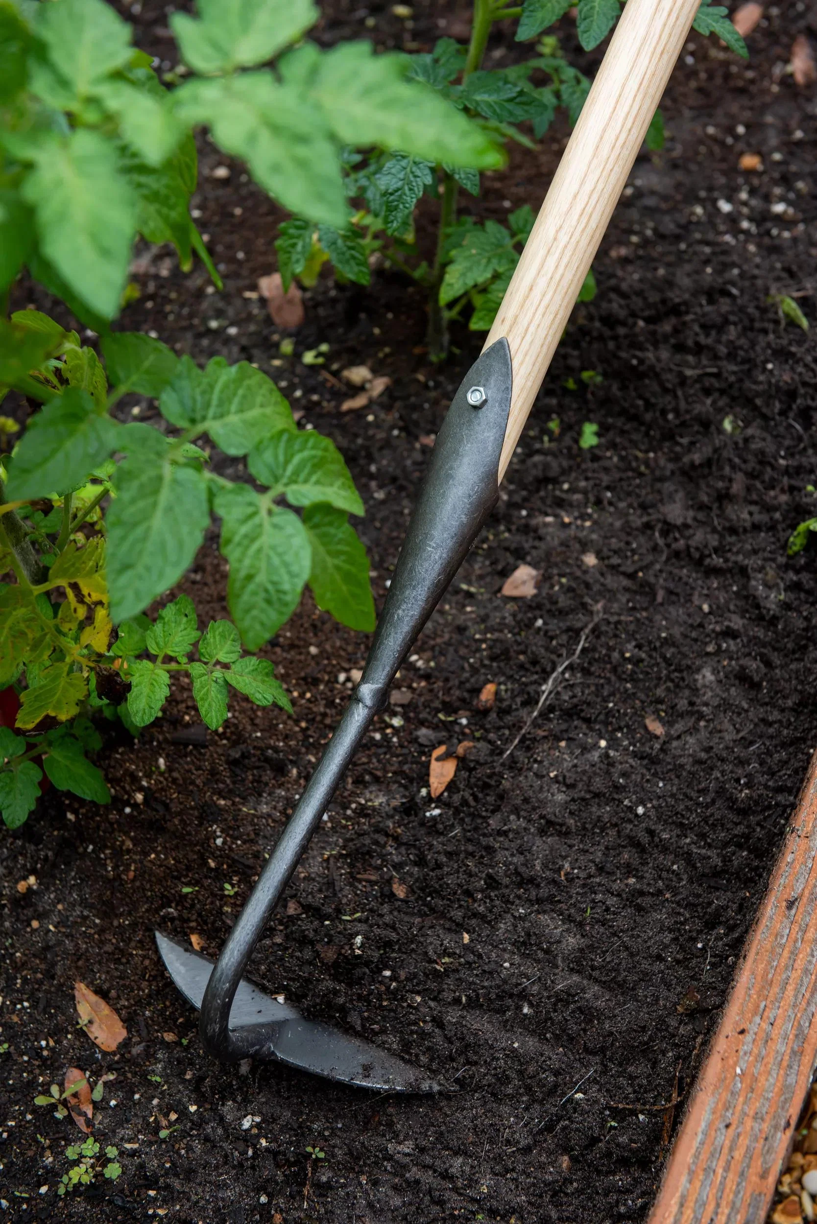 Half-Moon Hoe Long Handle High-Carbon Steel Garden Weeding Tool