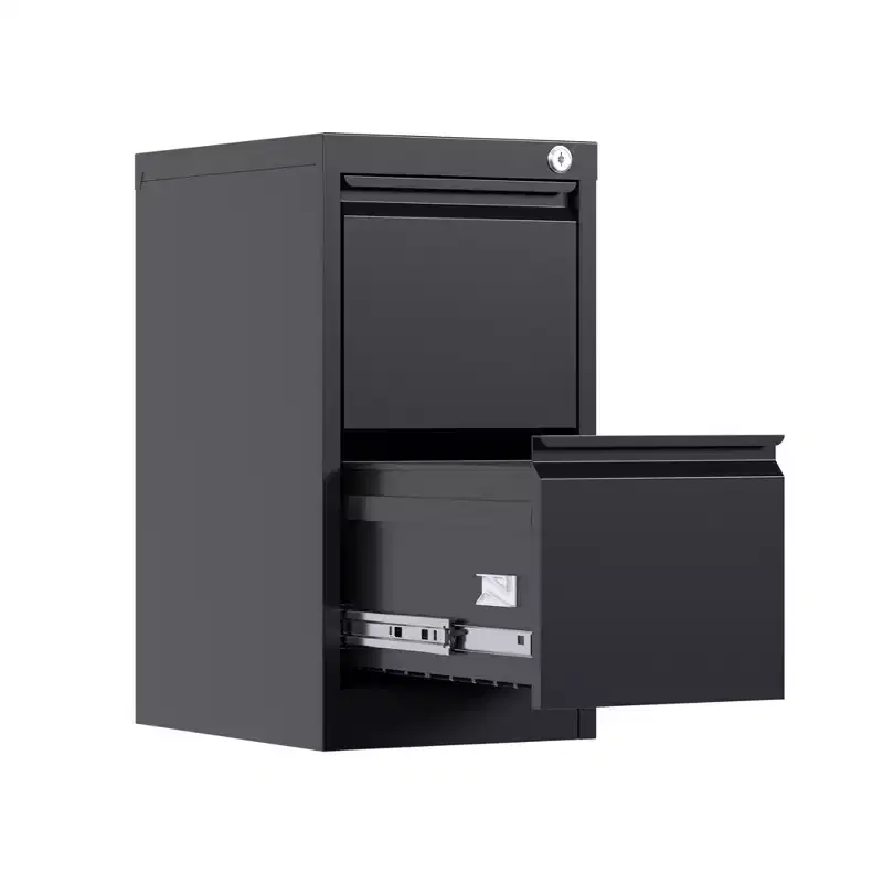 File Cabinet with 2-Drawer Lock,Vertical Metal Filing Cabinet for Letter/Legal Size Documents, File Storage for Home Office,Requires Assembly