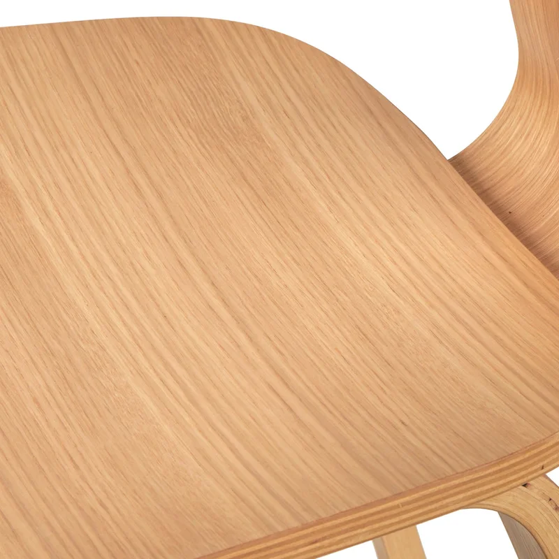 Mid-Century Modern Dining Chairs (Set of 2)