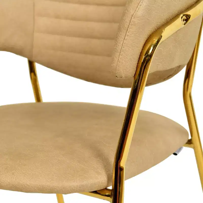 Upholstered Dining Chair Set of 2 Velvet Camelback Stainless Steel Legs 330 lbs