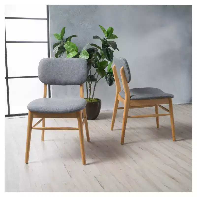 Set of 2 Colette Dining Chairs - Christopher Knight Home