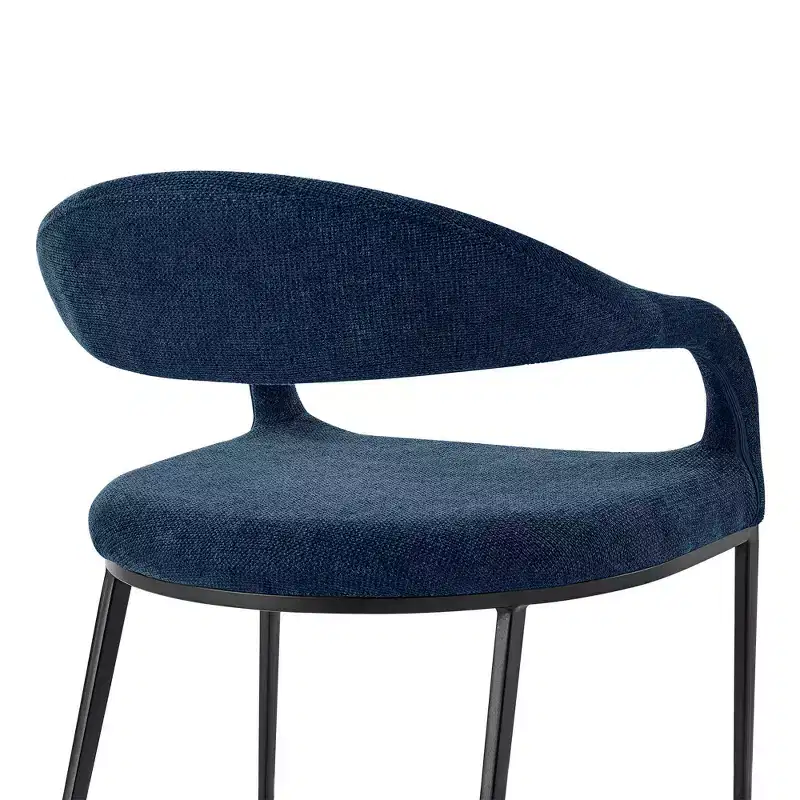 Set of 2 Upholstered Iron & Fabric Dining Chairs with Arms, 250LBS, Low Back