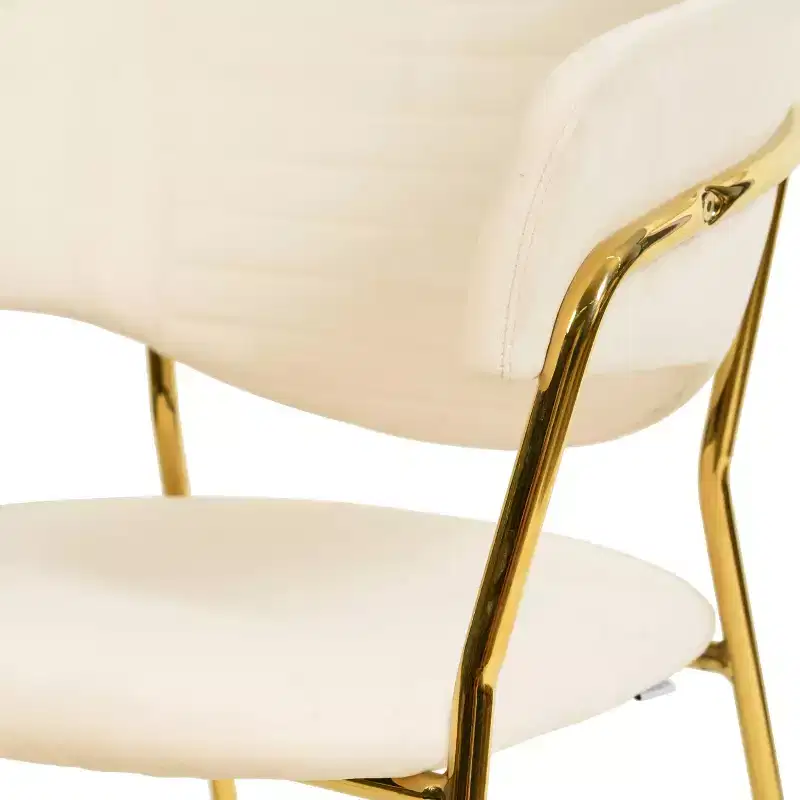 Upholstered Dining Chair Set of 2 Velvet Camelback Stainless Steel Legs 330 lbs