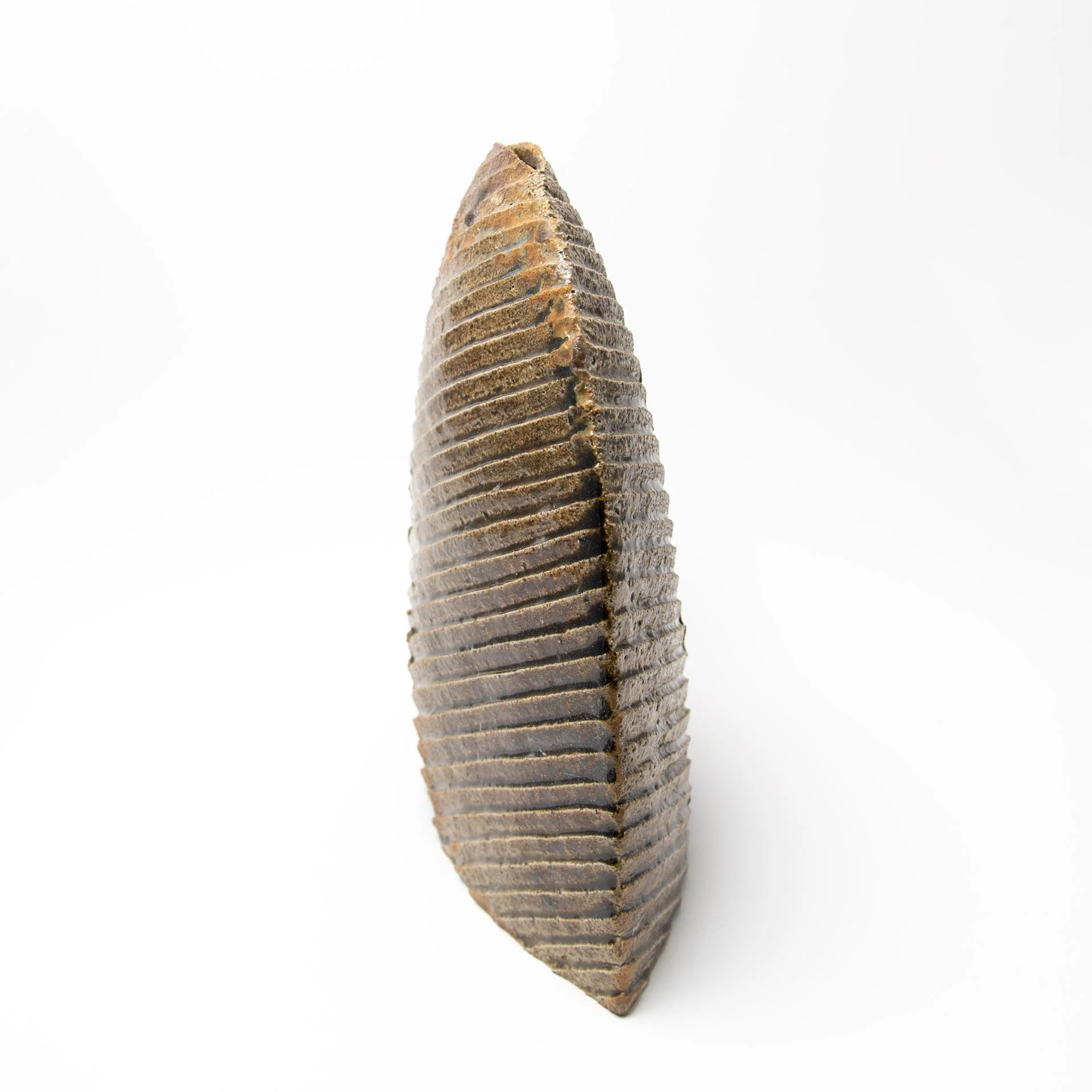 Epigraphy Vase