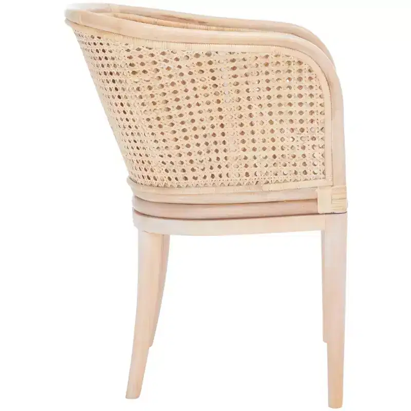 Sistine Arm Chair WithCushion - SEA4020A - Natural/White Washed - Safavieh