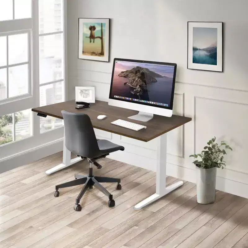 Mount-It! Dual Motor Electric Standing Desk with 55 Tabletop, Adrift & White