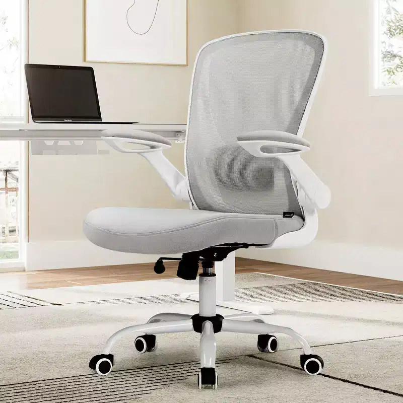 Ergonomic Office Chair