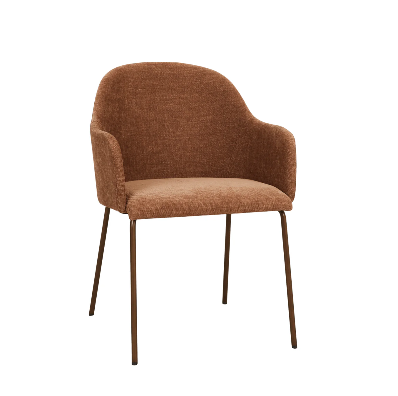 Modern Steel Dining Chair for Dining Room
